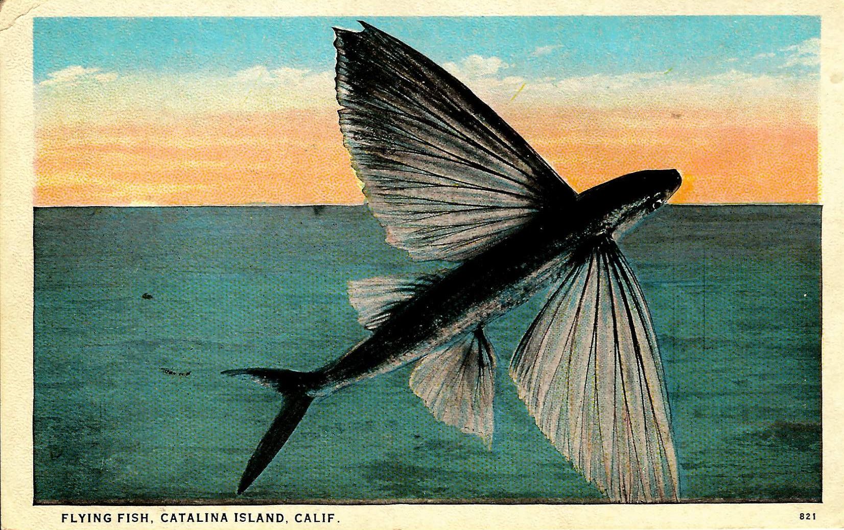 Documento histórico