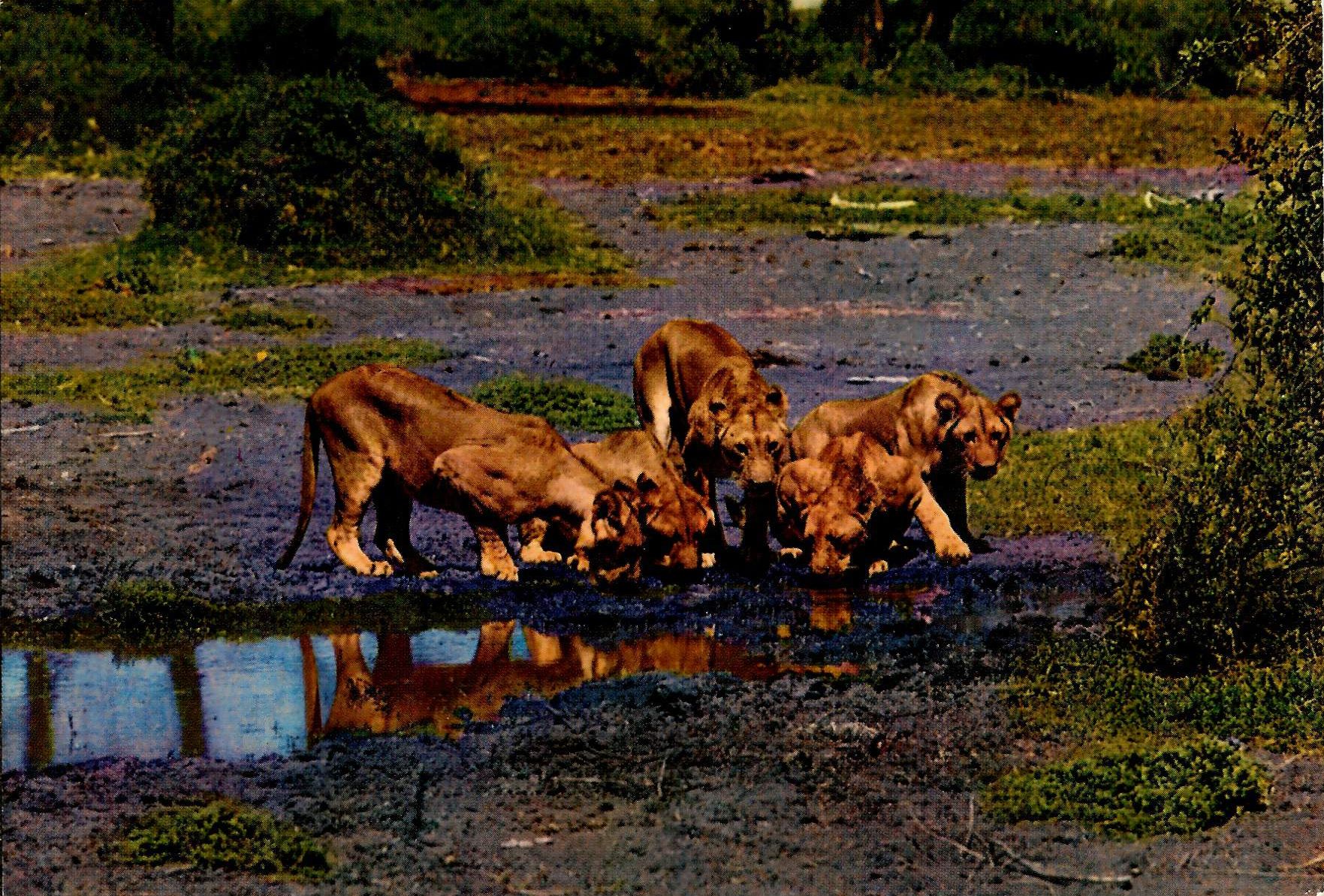 Documento histórico