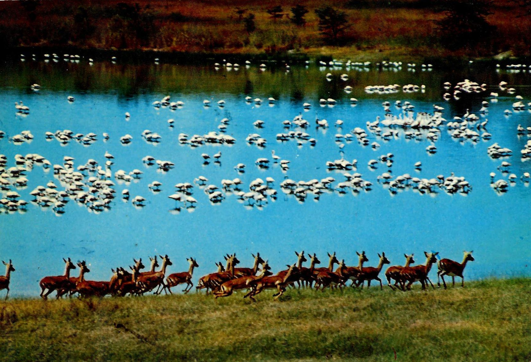 Documento histórico