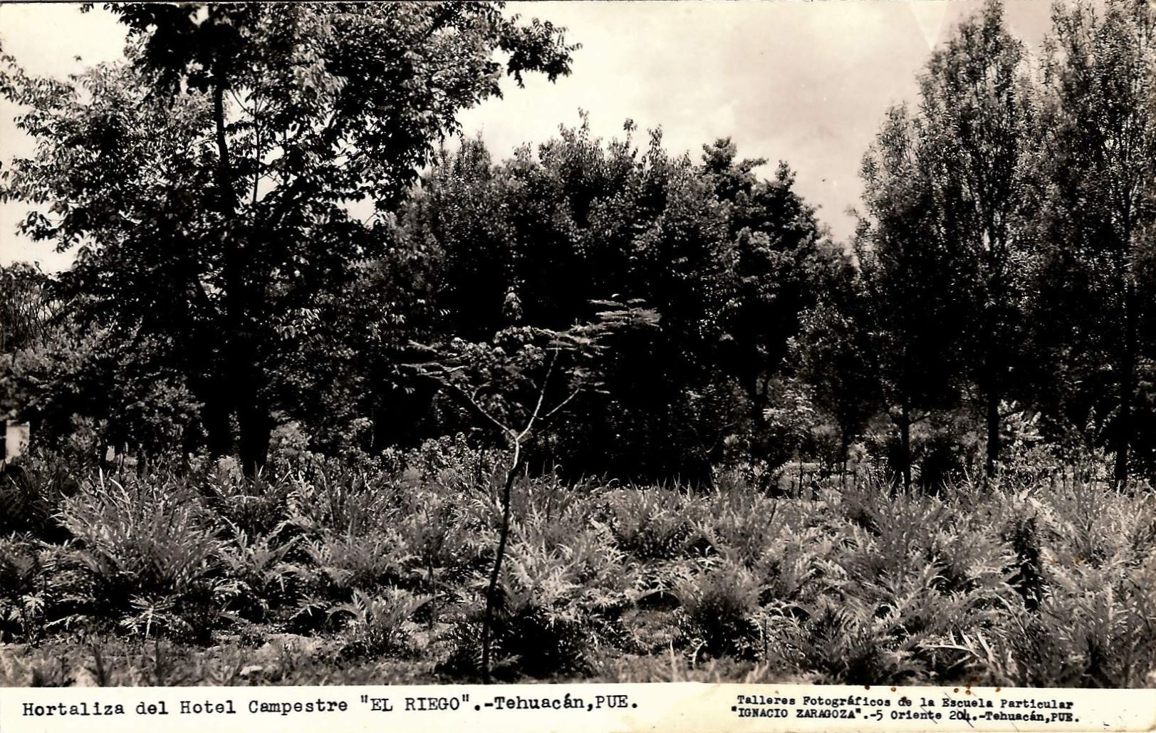 Documento histórico