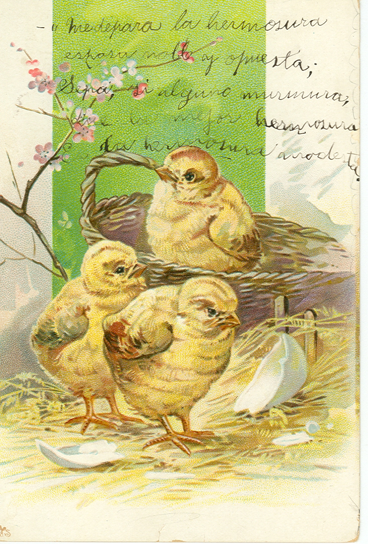 Documento histórico