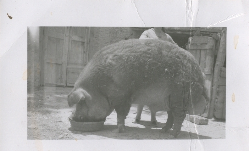 Documento histórico