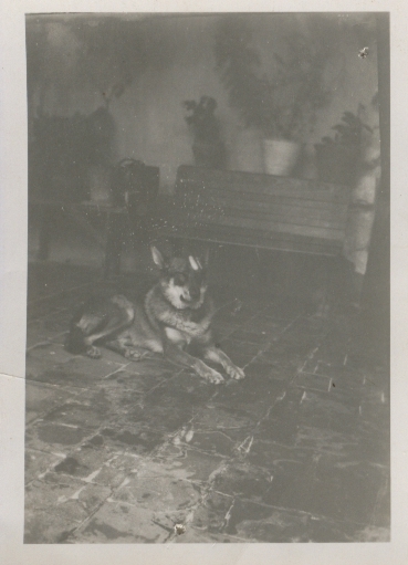 Documento histórico