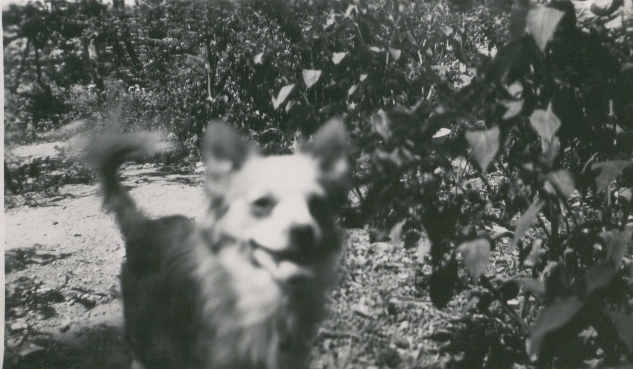 Documento histórico