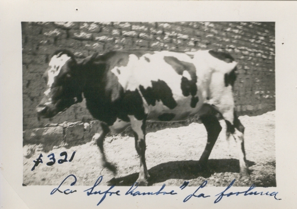 Documento histórico