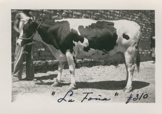 Documento histórico