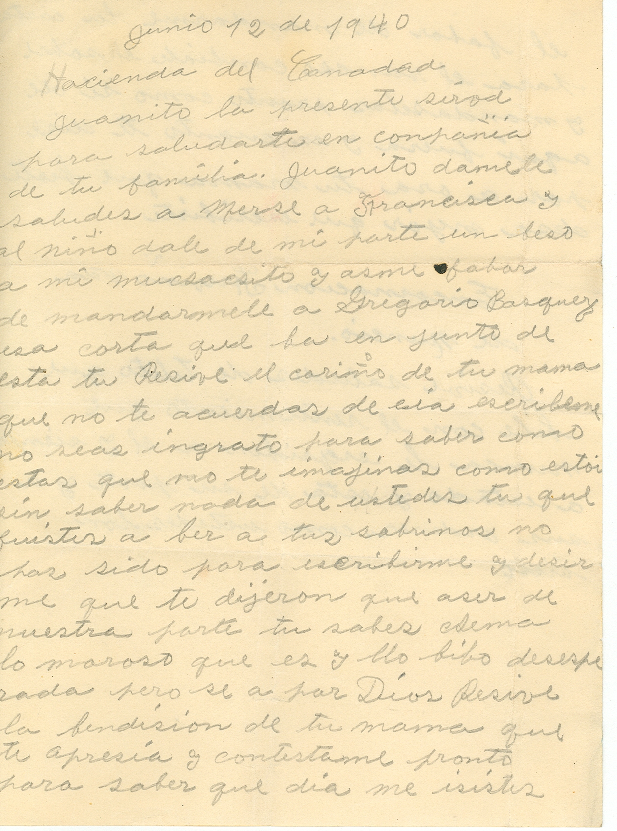 Imagen del fondo Nuncio Garza