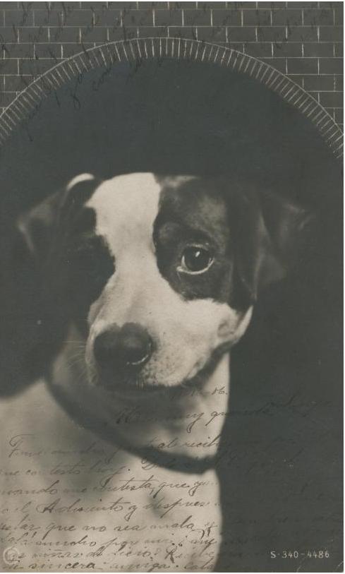 Documento histórico