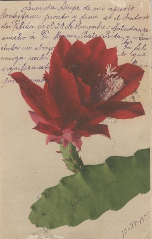 Documento histórico