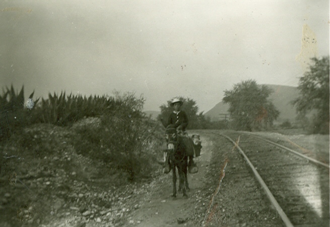 Vista previa del documento