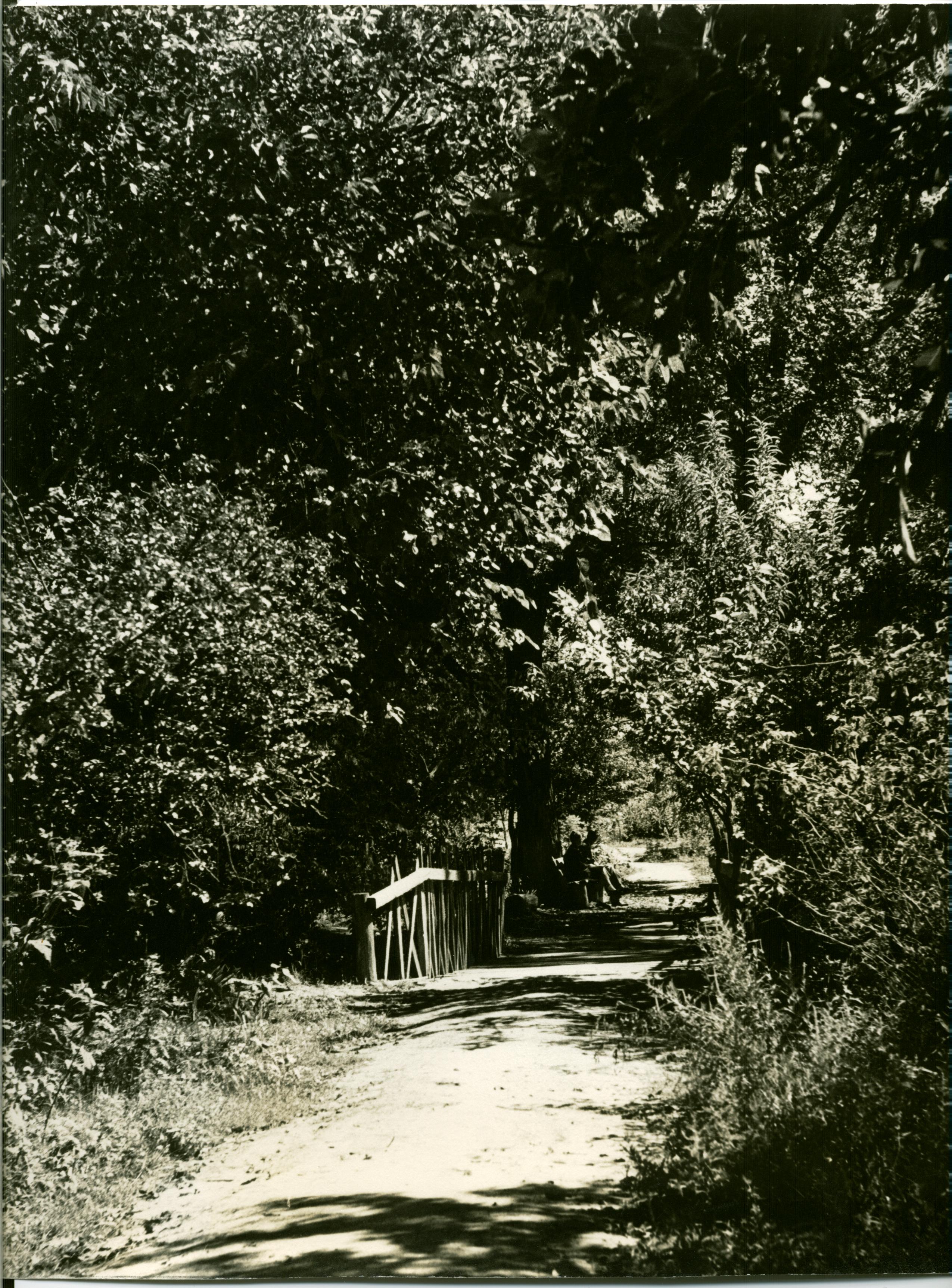 Documento histórico