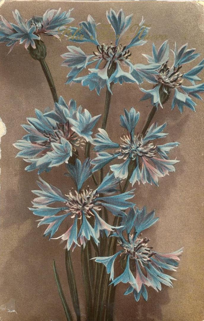 Documento histórico