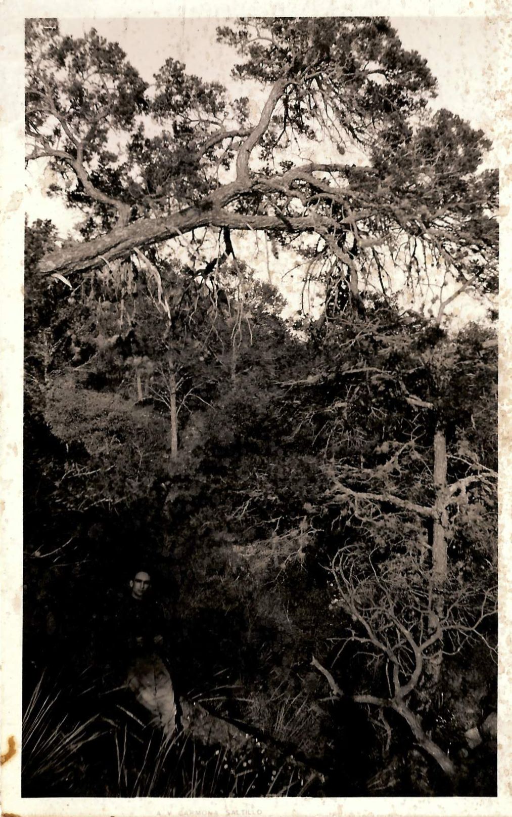 Documento histórico