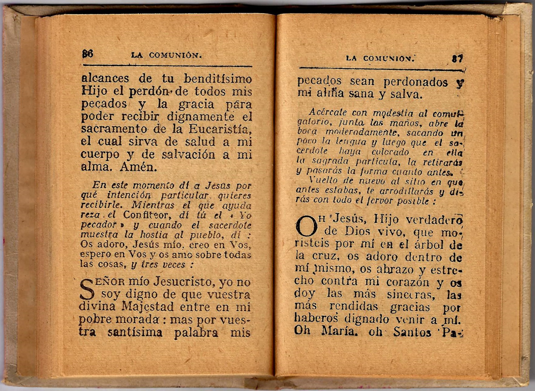 Vista previa del documento