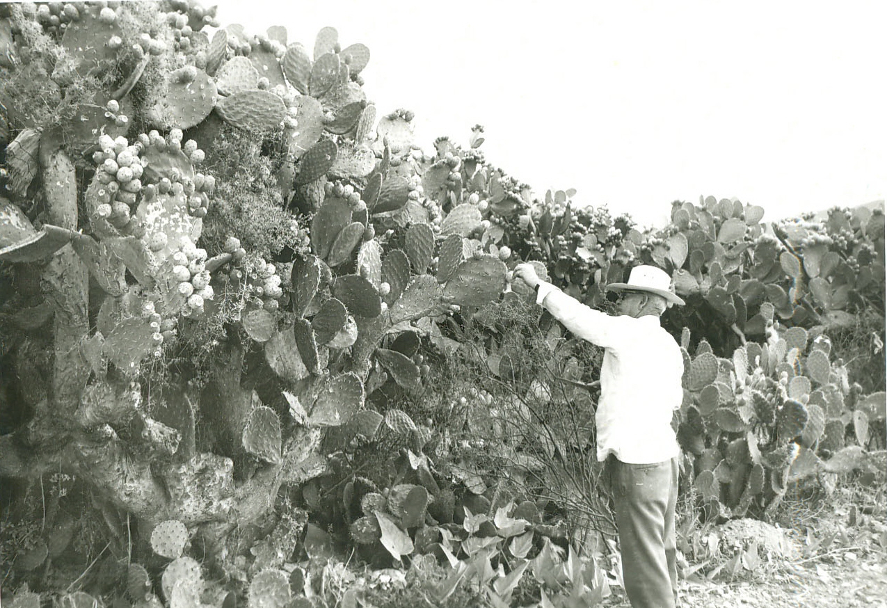 Documento histórico