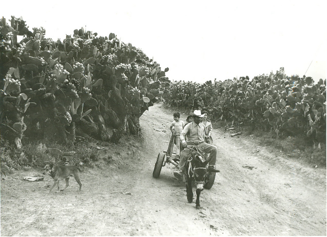 Documento histórico