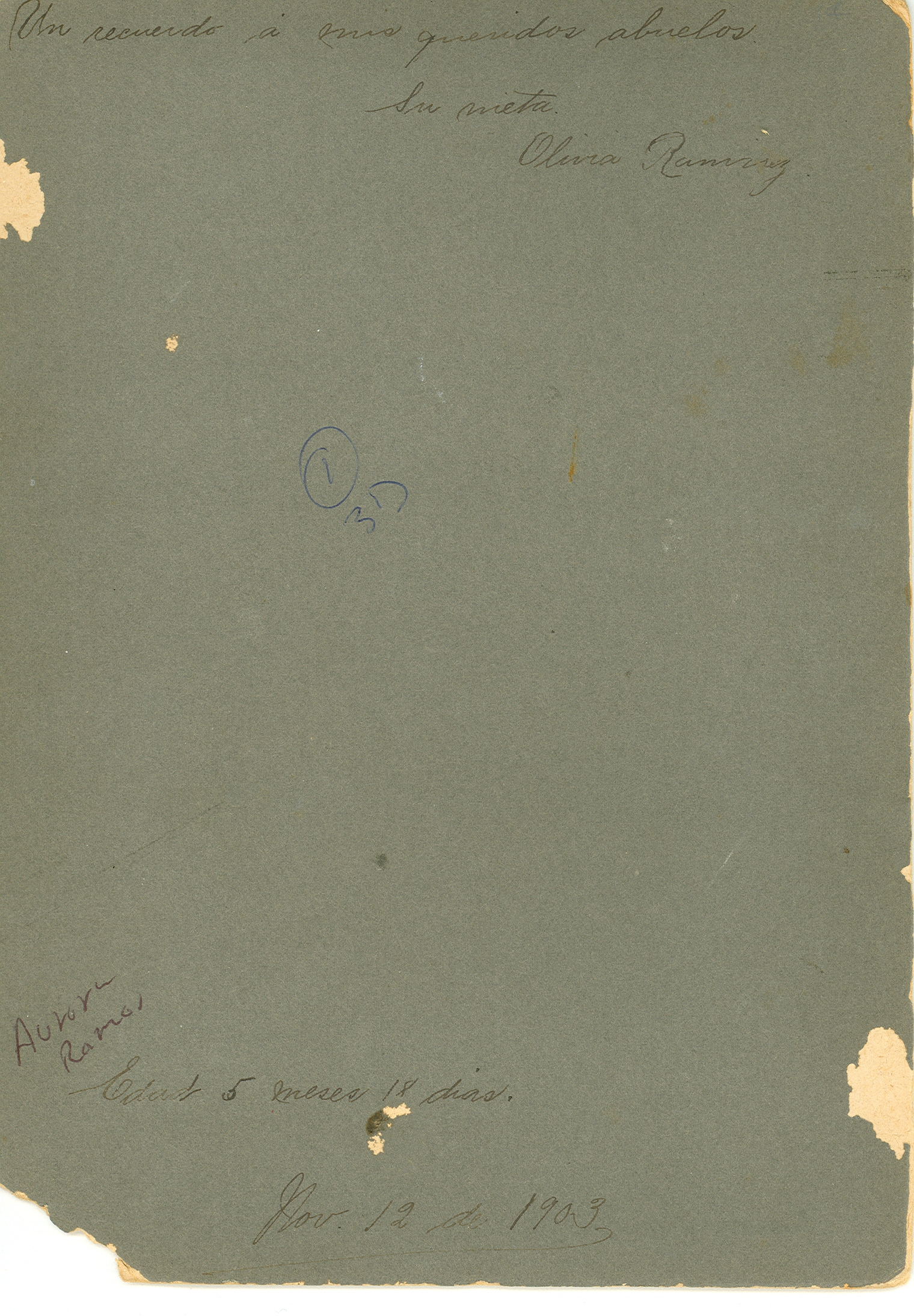 Vista previa del documento