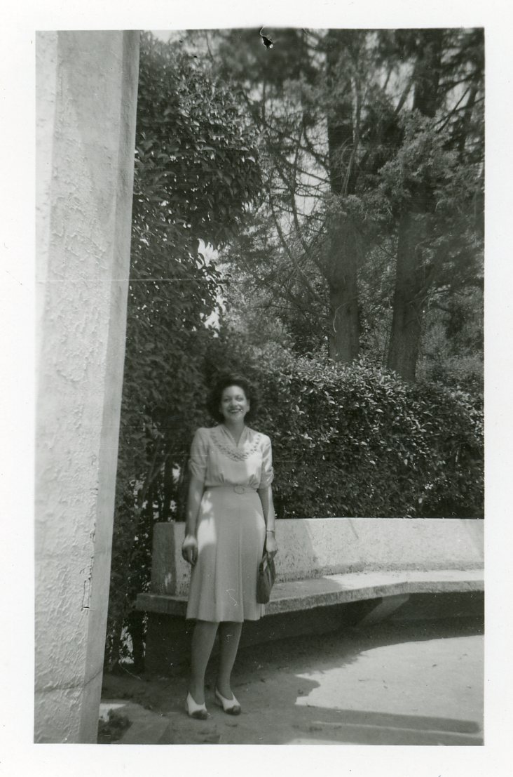 Vista previa del documento