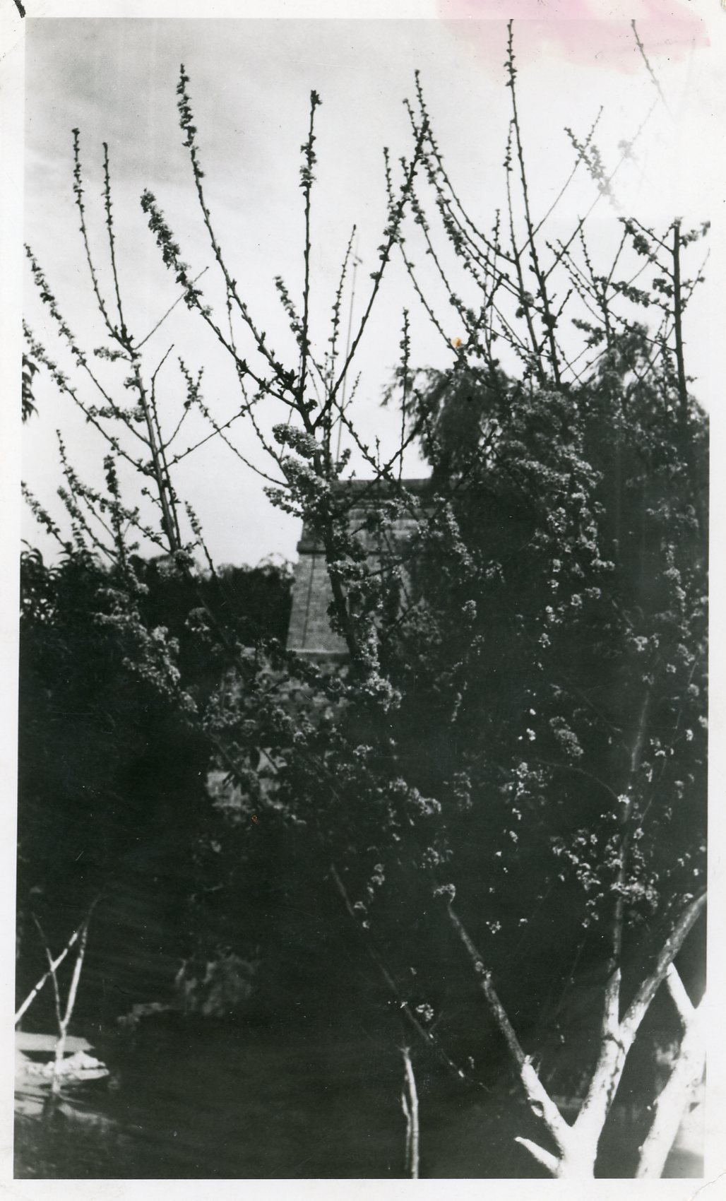 Documento histórico