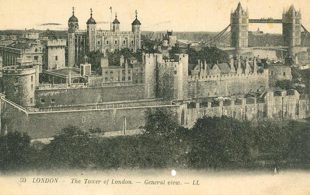 Vista previa del documento