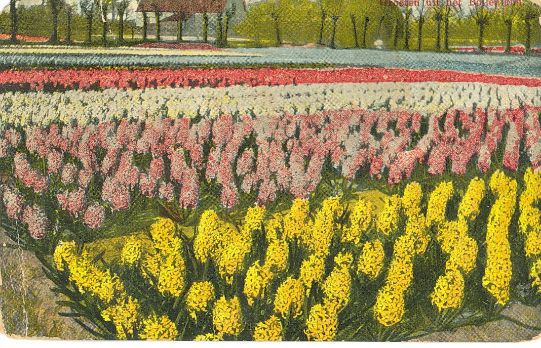 Documento histórico